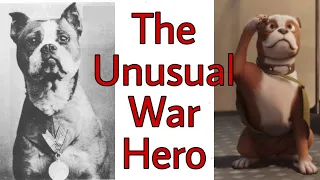 Story of Stubby- The War Hero of WW-1