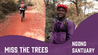 Miss The Trees, Warm up Loop  | Ngong Sanctuary