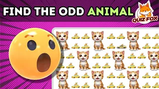 Find the ODD One Out - Animal Edition  ✅🦊🐱🐶 Easy, Medium, Hard - 30 levels