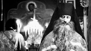 The Zealot Jungle Which is Growing Up Around Us - Letter from Fr. Seraphim Rose