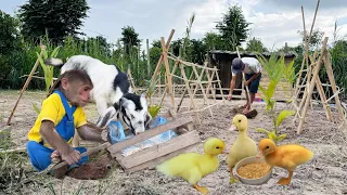 So Smart! Cutis Farmer Helps Dad Take Care Of The Farm