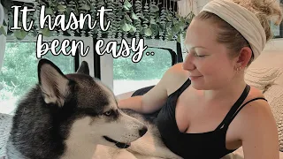 My Current Van Life Struggles | Camping in the Northeast, Working Remote, & Rue's Separation Anxiety
