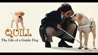 Quill: The Life of a Guide Dog《导盲犬小Q》2004