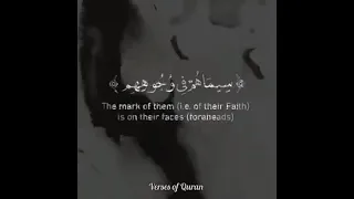 "Mohammad (ﷺ) is the Messenger of Allah" Sheikh Yasser Al Dosari. الشيخ ياسر الدوسري. Surah al-fath.
