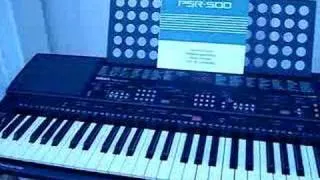 PSR 400 Demo - Vinnomc Ebay Auction