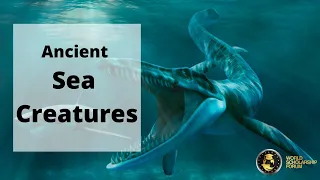 Top Documentary - Ancient Sea Creatures 2021