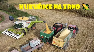 Claas lexion 780  kukuřice na zrno