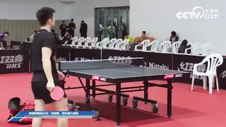 Zhang Jike - Fan Zhendong  /Training 2017/
