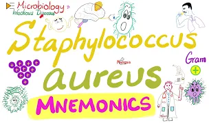 Staphylococcus aureus Mnemonics | Microbiology 🧫 & Infectious Diseases 🦠