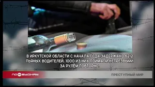 Статистика преступлений в регионе: самые частые виды правонарушений