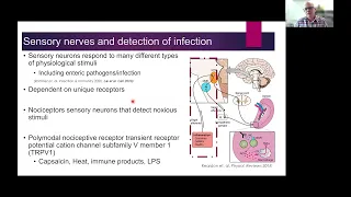 Microbiome, neuro-immune interactions, and the gut-brain. What is new?