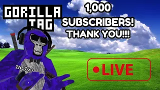 Live MiniGames!, Gorilla Tag, With Fans!