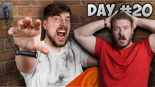 MILLIONAIRE REACTS TO MrBeast '$10,000 Every Day You Survive Prison'