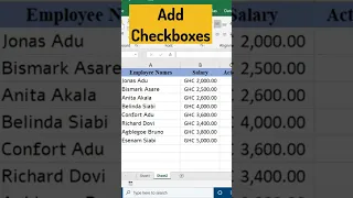 How to use Check boxes in Microsoft Excel - Checkboxes interactivity