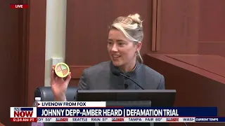 Johnny Depp trial: Amber Heard called makeup her 'bruise kit' | LiveNOW from FOX