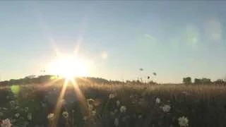 World Youth Day Anthem "Blessed are the Merciful" sung in English