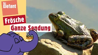 Wie hüpft ein Frosch? | Der Elefant | WDR