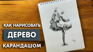 Как нарисовать дерево простым карандашом | Рисунок для начинающих легко и поэтапно