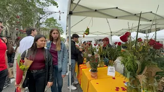 Barcelona Walking Tour on the Special Day of Sant Jordi 2024🌹📚On Passeing de Gracia🌹🐉