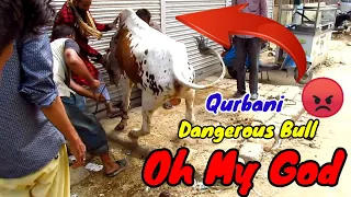 Dangerous bull | Atang machadiya muhally mai bhai sahab | Oh My god