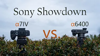 Sony a7iv vs a6400 - which is BEST?