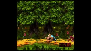 Riverside Race 103% Walkthrough - Donkey Kong Country 3 Dixie Kong's Double Trouble 103% Walkthrough