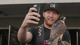 Los Angeles Football Club LAFC Falcon Takes Off Will Ferrell Forever Black and Gold Soccer