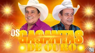 OS GAGANTAS DE OURO SO MÚSICA TOP NO XOTE ROMÂNTICO AO VIVO