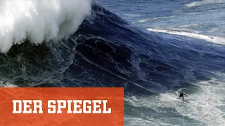 Die Weltrekordwelle: Big Wave Surfing in Nazaré | DER SPIEGEL