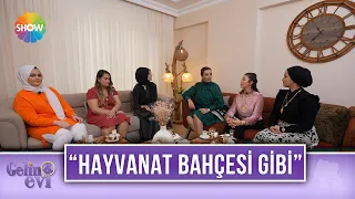 Gamze Hanım'ı çıldırtan yorum! "Eviniz hayvanat bahçesi gibi" | Gelin Evi 772. Bölüm