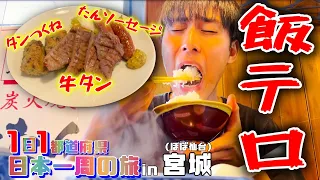 仙台の牛タンと米が最強と気づいた宮城旅行【日本一周】【飯テロ】