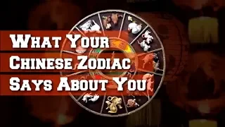What Your Chinese Zodiac Says About You