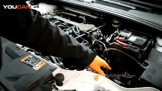 2012-2019 Ford Focus - Battery Replacement