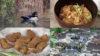 Shrimp and Grits, Fried Fish Secret, Identifying Birds & Bluegill Fishing (#607)