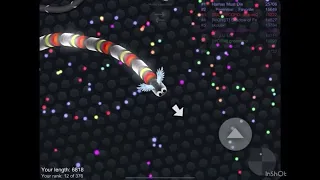 Getting 6th place on the leader board on slither.io