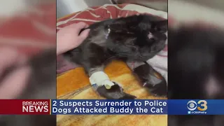 2 Juveniles Surrender After Dogs Attack Philadelphia Family's Cat