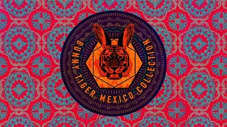 Bunny Tiger Mexico Collection - Mixed By Sharam Jey