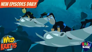 Wild Kratts | Tangled Up! | Akili Kids!