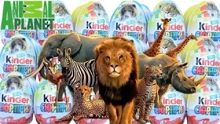 Киндер Сюрприз "Animal Planet" 2015 Kinder Surprise))) ШОК!!! Редкая фигурка!!!