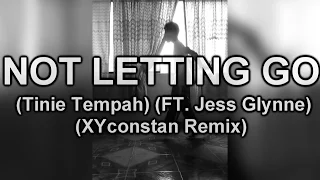 Bailando Shuffle #40 | NOT LETTING GO (Tinie Tempah ft. Jess Glynne) (XYconstant Remix)