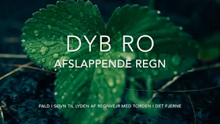 DYB RO Meditation - Afslappende regn