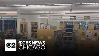 South suburban Chicago library worker charged with theft