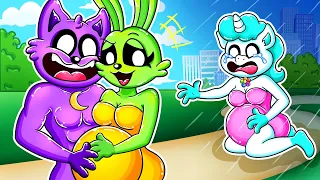 BREWING BABY CUTE PREGNANT!? - CATNAP Is Trap Boy? - SMILING CRITTERS & Poppy Playtime 3 Animation