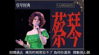 新不了情 ~  蔡琴 Tsai Chin