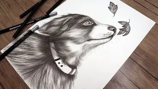 How to Draw a Cute Dog and Leaves| Step by Step Drawing