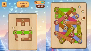 Wood Nuts And Bolts Puzzle Level 46