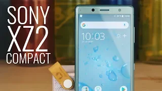 Обзор Sony XZ2 Compact. Компактный флагман