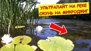 Окунь на микроджиг летом. Ловля на ультралайт