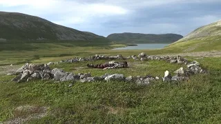 Kivikehä - Stone Circle. Varanger Peninsula