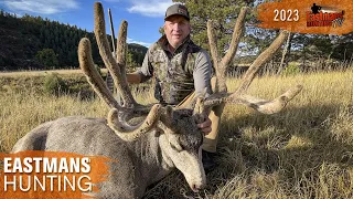 HUGE 200-Inch Velvet Buck! Guy Eastman Hunts Colorado Deer and Elk